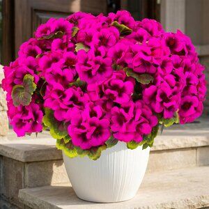 8-Pcs Rose Artificial Realistic Silk Flowers Faux Garden Front Door Home Decor